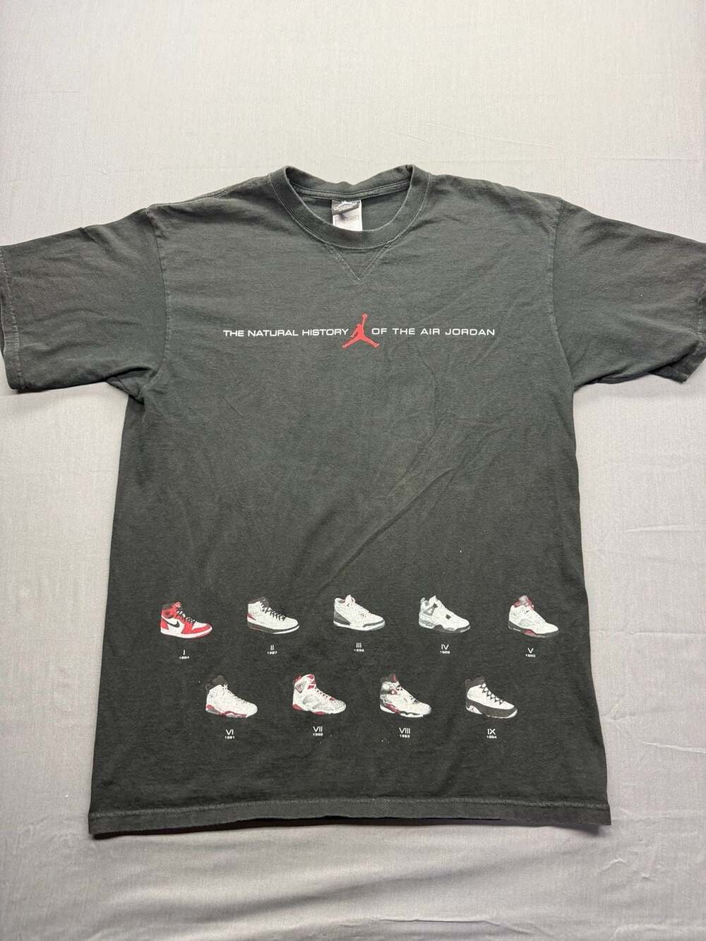 Y2K Vintage The Natural History Of The Air Jordan T-Shirt Size: XL